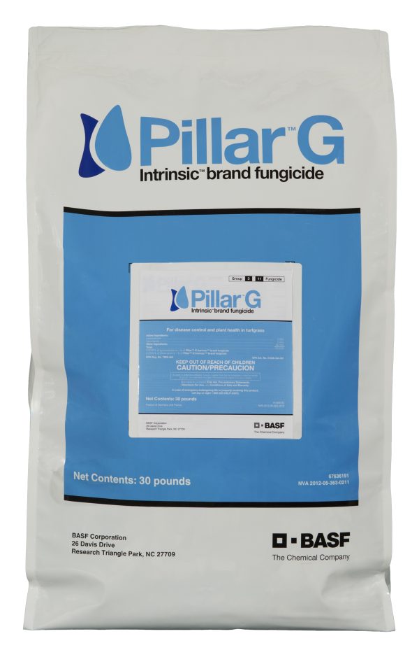PILLAR G INTRINSIC