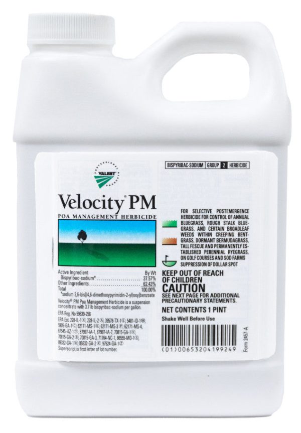 VELOCITY PM