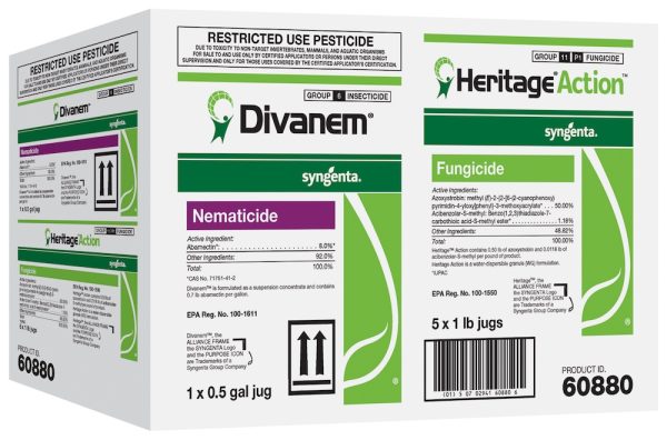 DIVANEM + HERITAGE ACTION MULTIPAK