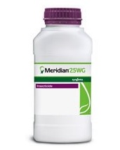 MERIDIAN 25 WDG