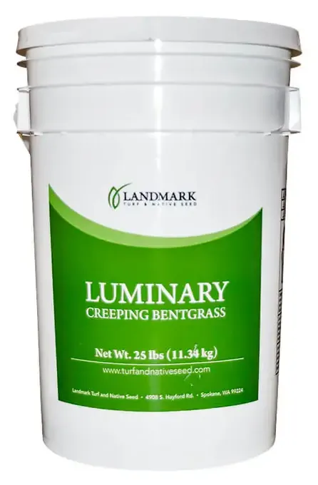 LUMINARY CREEPING BENTGRASS