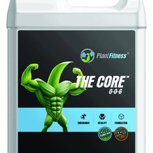 THE CORE