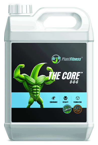 THE CORE
